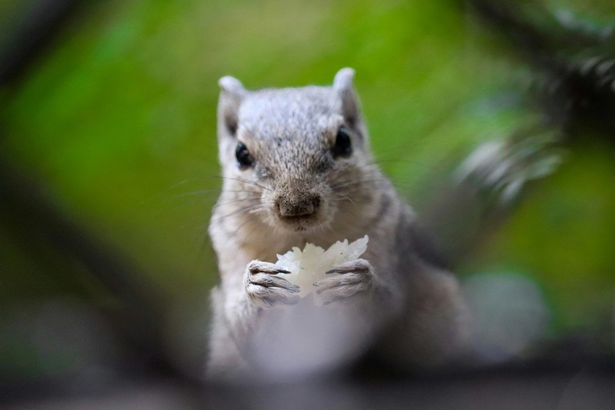 Why Your Startup Needs to be a&nbsp;C-Corp